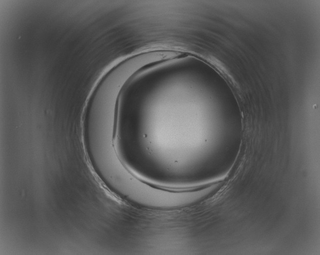 X0000067470854200604211605