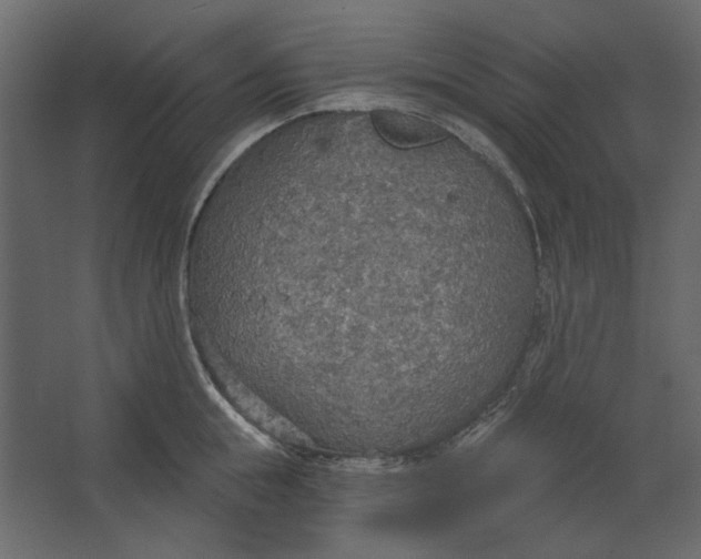 X0000067470855200604211605