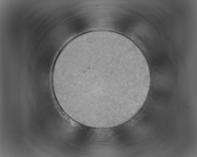 X0000067470856200604211605