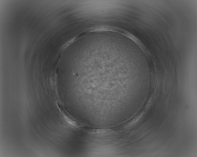 X0000067470857200604211605