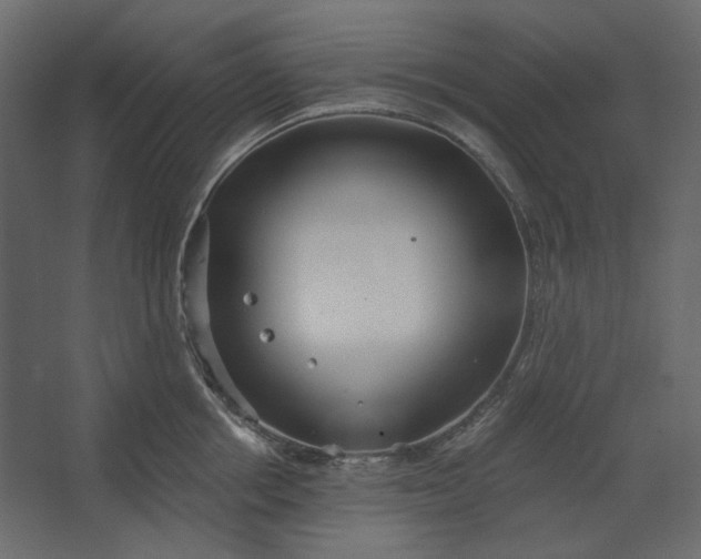 X0000067470858200604211605