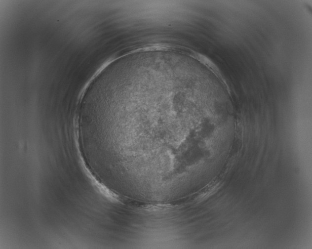 X0000067470859200604211605