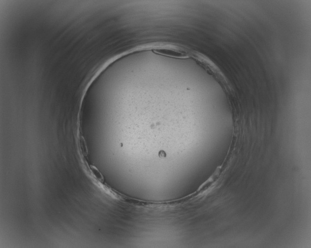 X0000067470860200604211605