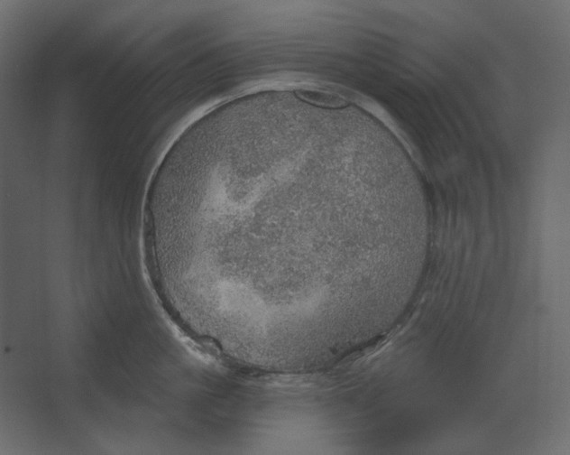 X0000067470861200604211605