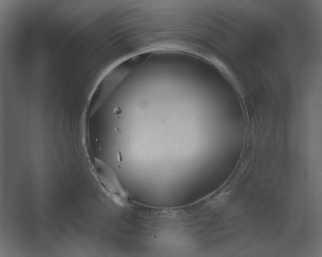 X0000067470862200604211605