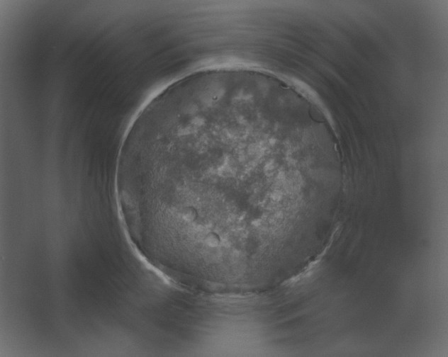 X0000067470863200604211605