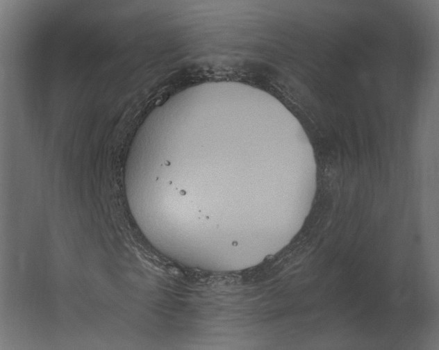 X0000067470865200604211604