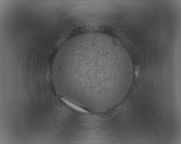 X0000067470867200604211604