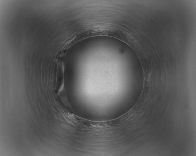 X0000067470868200604211604