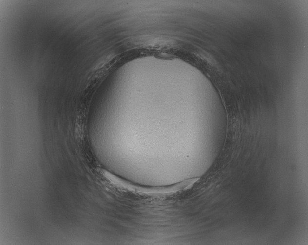 X0000067470869200604211604