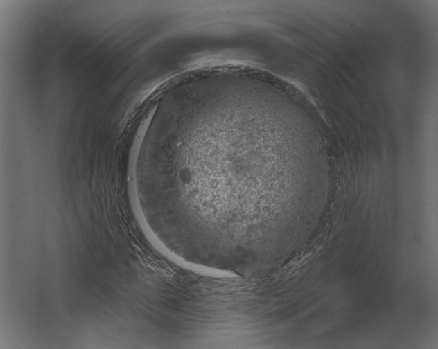 X0000067470871200604211604