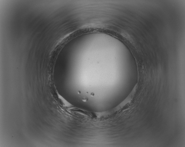 X0000067470872200604211604