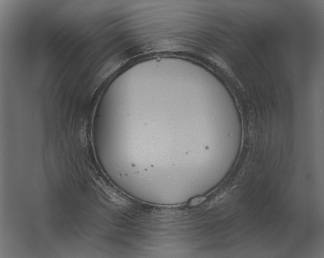 X0000067470873200604211604