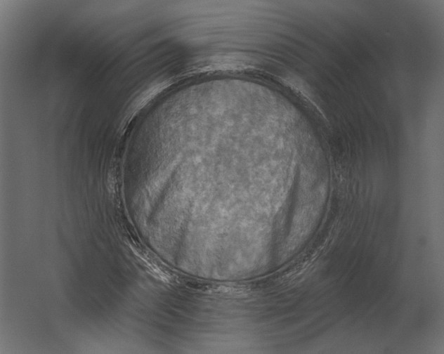 X0000067470874200604211604