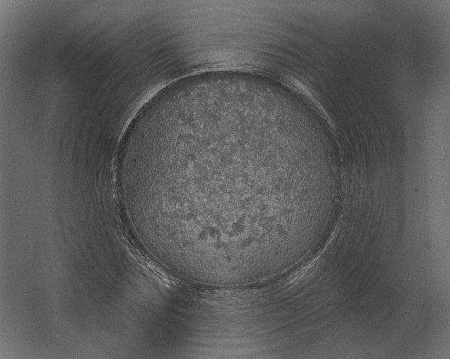 X0000067470875200604211604