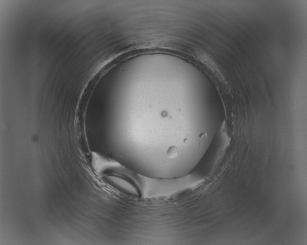 X0000067470876200604211604