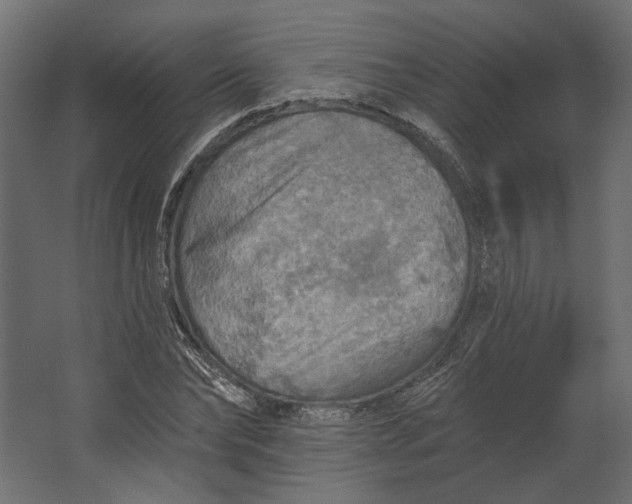 X0000067470878200604211604