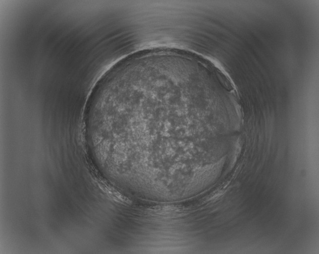 X0000067470879200604211604