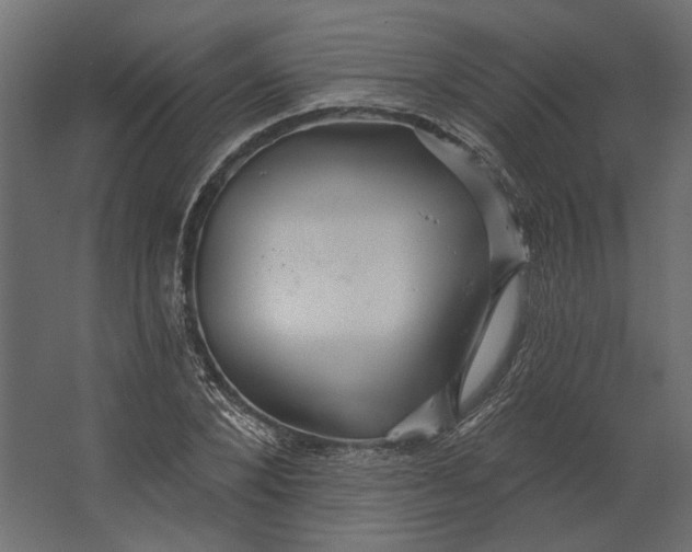 X0000067470880200604211604