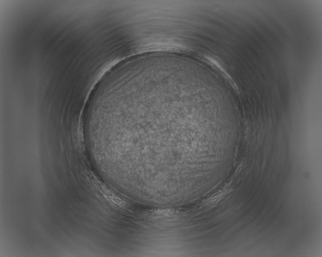 X0000067470883200604211604