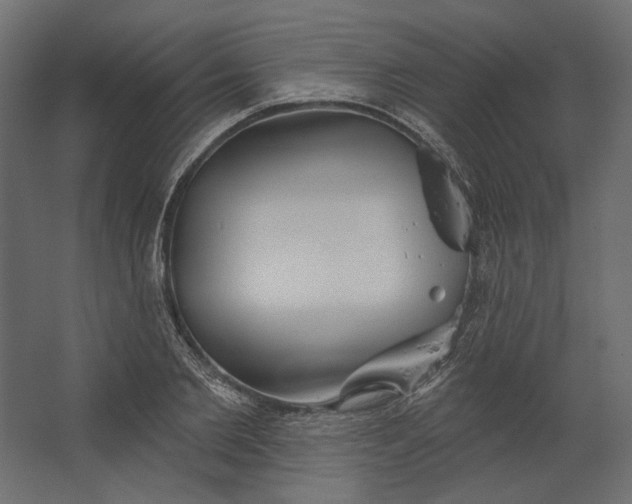 X0000067470885200604211604