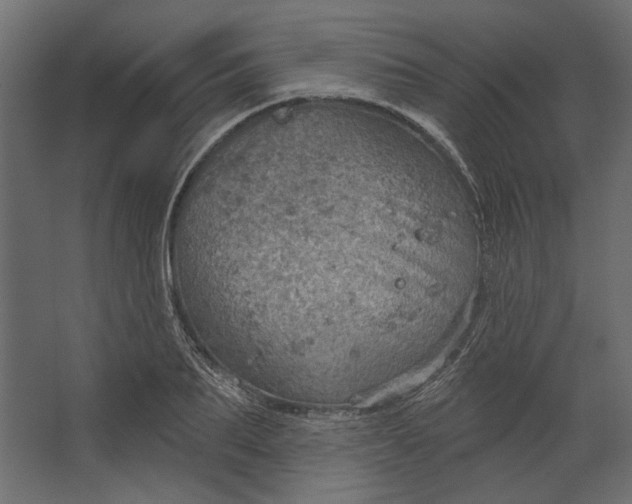 X0000067470887200604211604