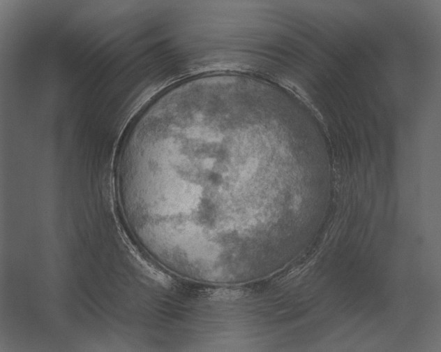 X0000067470890200604211604