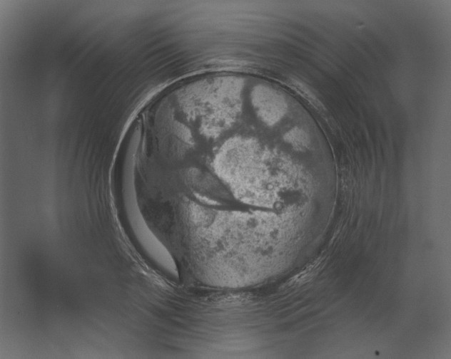 X0000067470891200604211604