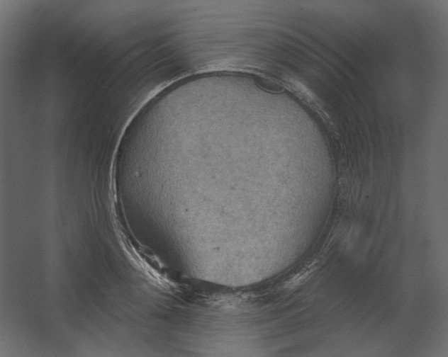 X0000067470892200604211604