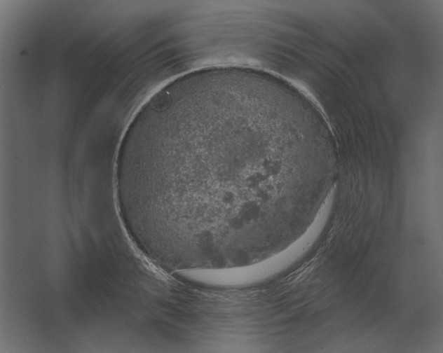 X0000067470895200604211604