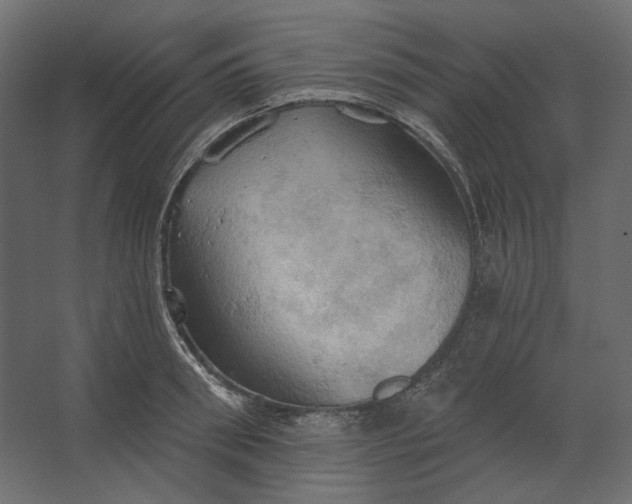 X0000067470898200604211604