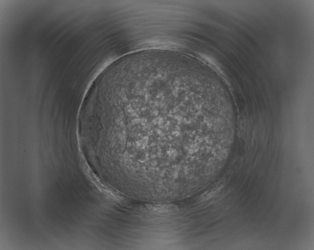 X0000067470899200604211604