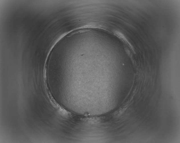 X0000067470900200604211604