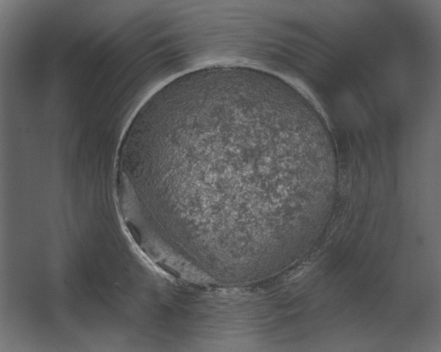 X0000067470903200604211604