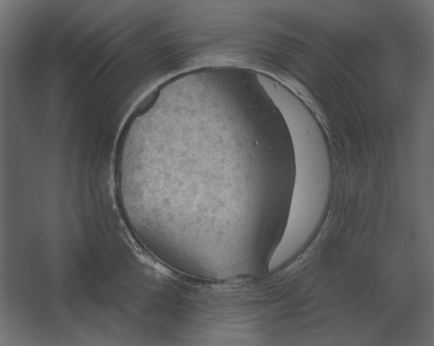 X0000067470904200604211604