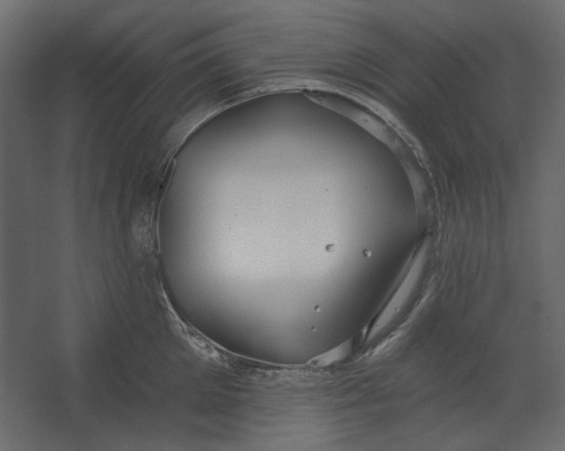 X0000067470905200604211604