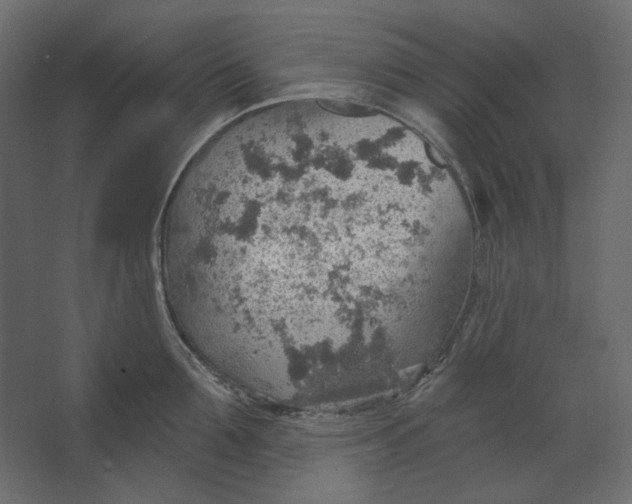 X0000067470907200604211604