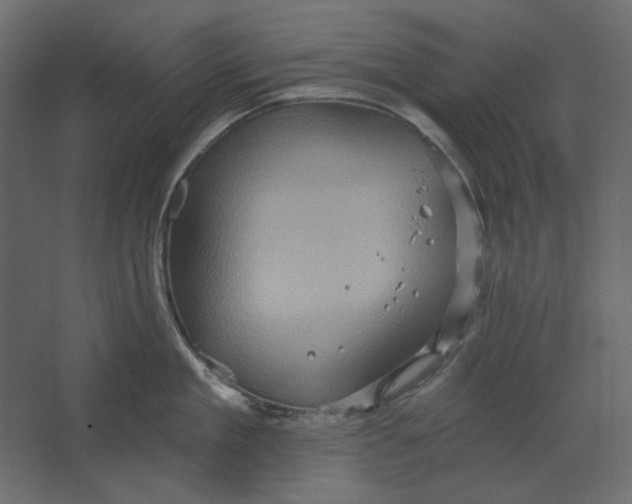 X0000067470909200604211604