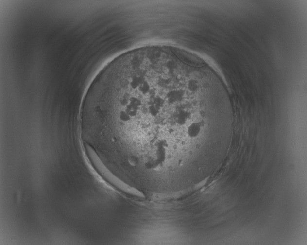 X0000067470911200604211603