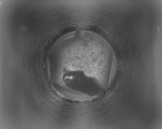 X0000067470913200604211603