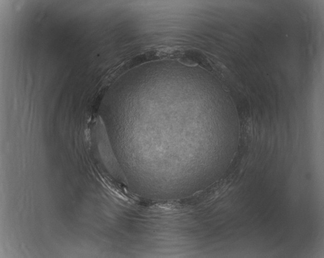 X0000067470914200604211603