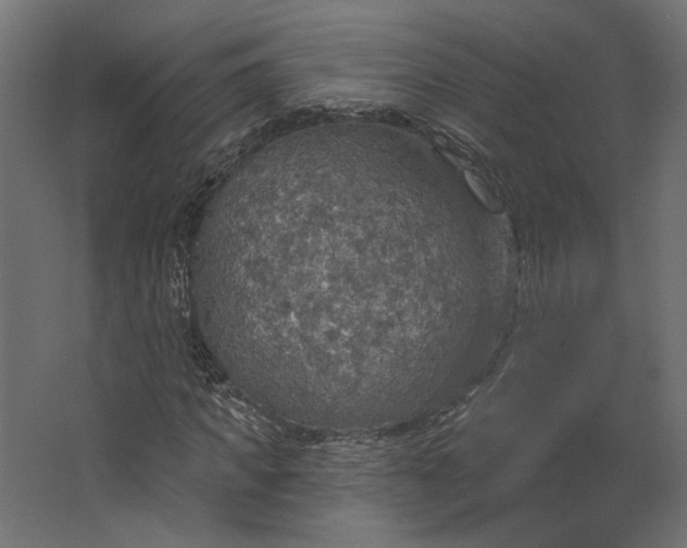 X0000067470917200604211603