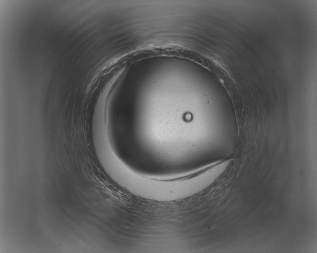 X0000067470920200604211603