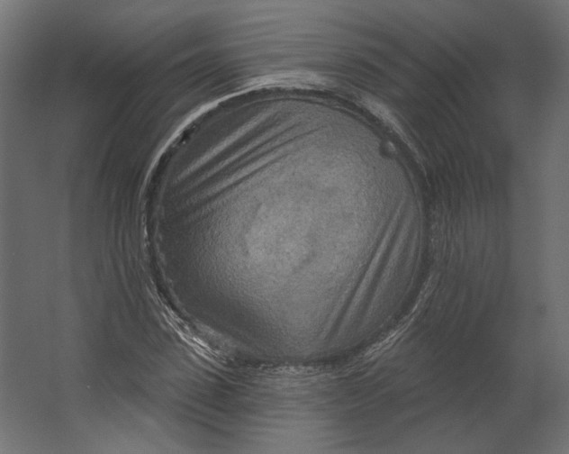 X0000067470923200604211603