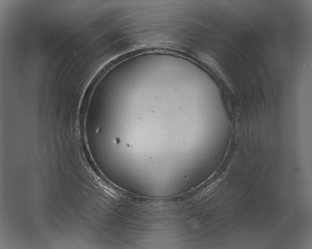 X0000067470924200604211603