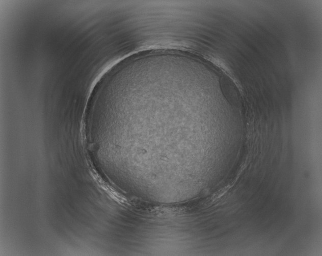 X0000067470928200604211603