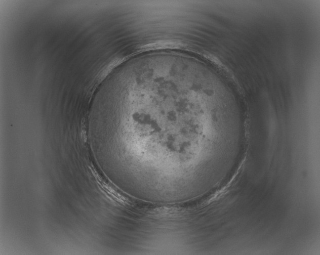 X0000067470929200604211603