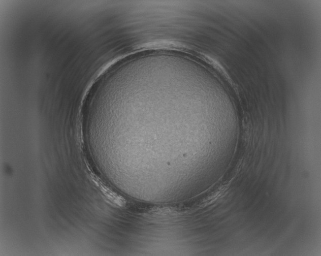 X0000067470931200604211603