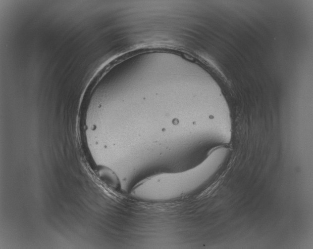 X0000067470932200604211603