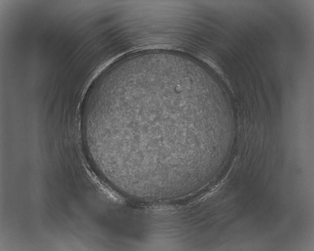 X0000067470933200604211603